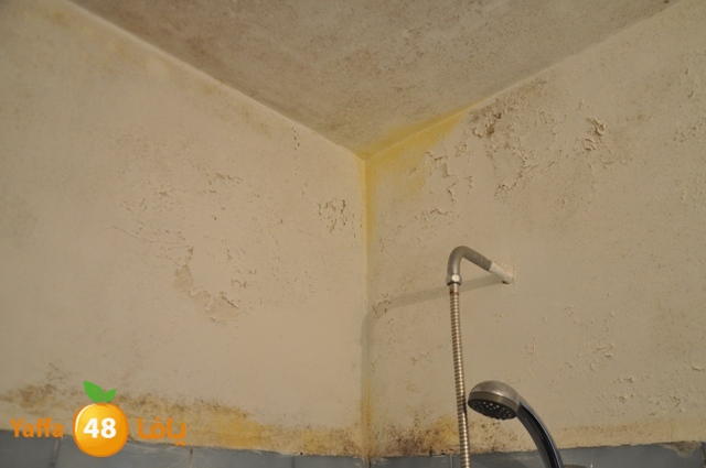 manzel7alamish523 (9).JPG